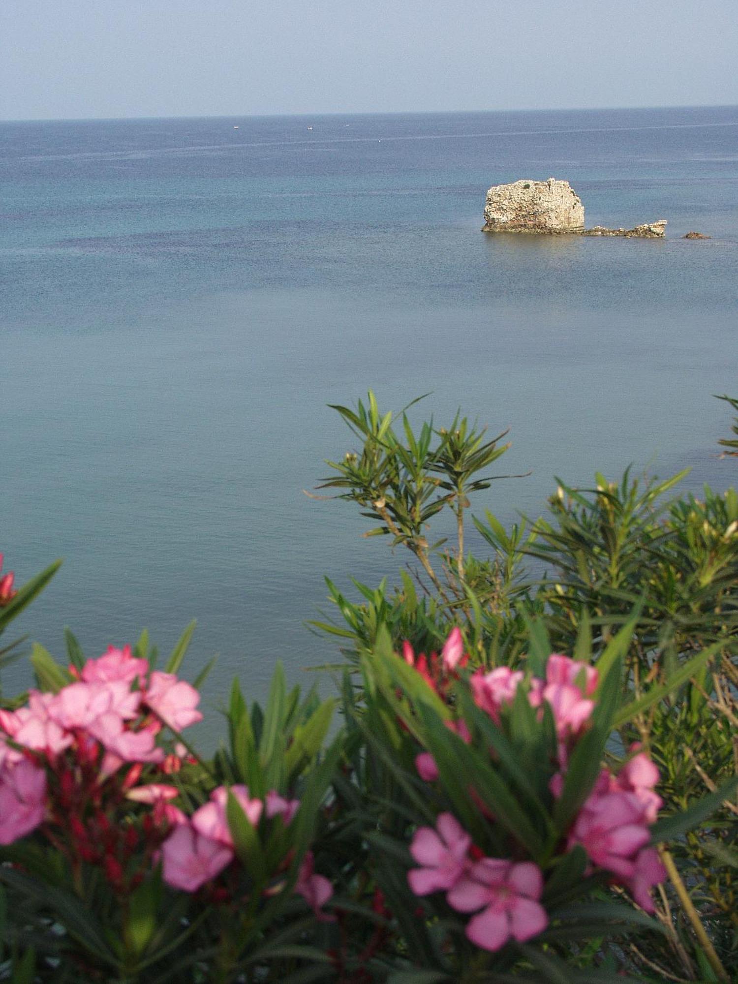 Seaview Aparthotel เนอาโปติไดอา ภายนอก รูปภาพ